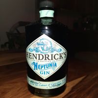 Hendrick´s Gin Neptunia Leer mit Originalkorken zur Deko Nordrhein-Westfalen - Jüchen Vorschau