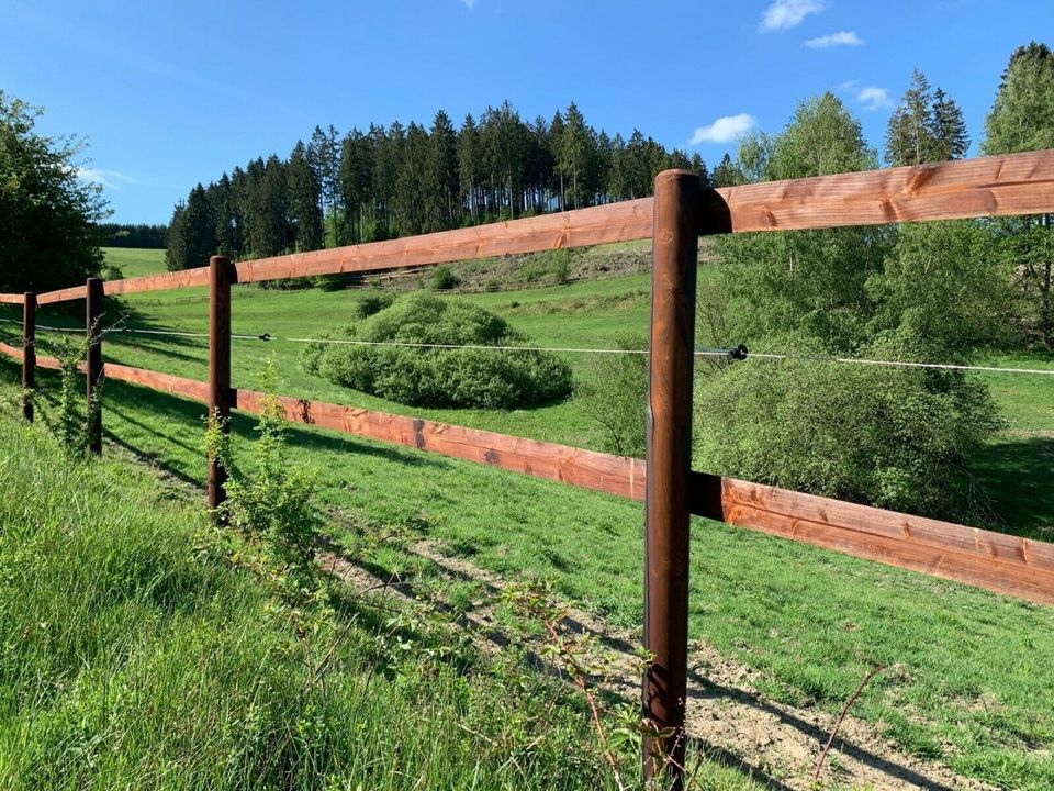 Halbriegel Halbhölzer Halbpalisaden Zaunriegel Riegel KDI - SALE in Olsberg