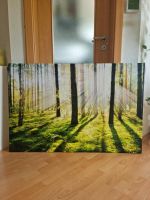 Großes Leinwandbild / Fotografie Wald 1,20×80 cm Baden-Württemberg - Ulm Vorschau