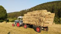 Heuballen, kleine Büschel, Quaderballen, Heu, Bio Bayern - Kastl b. Amberg Vorschau