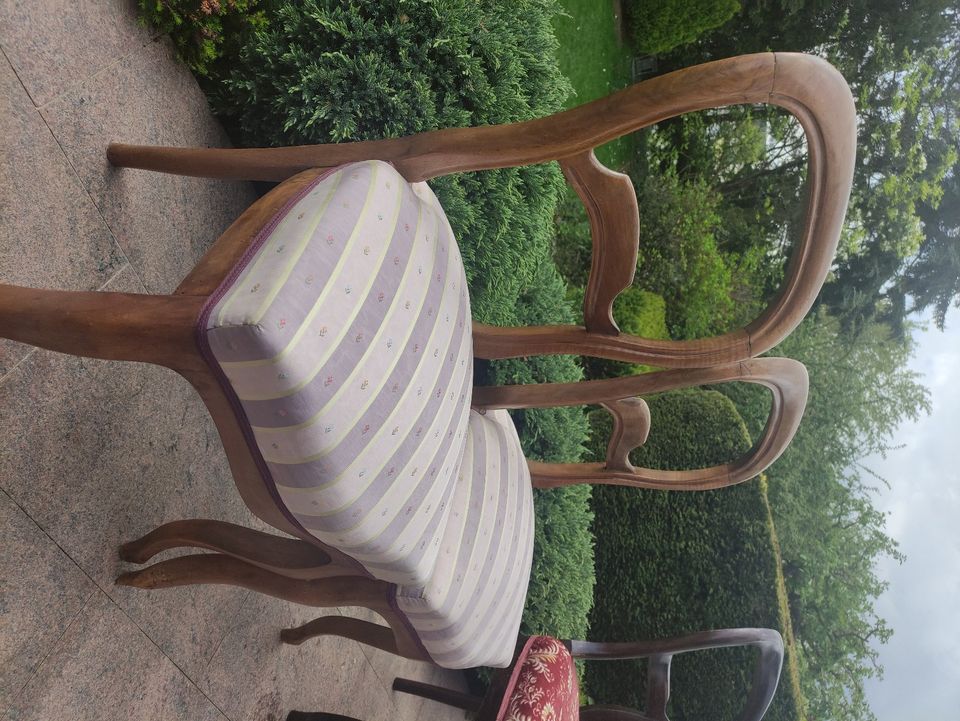 2 historische Stühle aus Nussbaum in Siegen