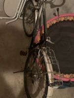 Verschiedene Fahrräder Essen - Essen-Katernberg Vorschau