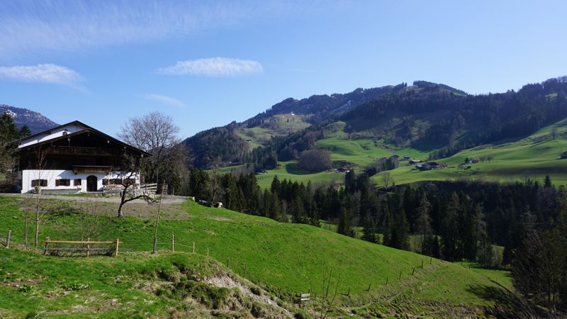 ❤ Urige, beliebte Almhütte (Moser-Hütte) ❤ in München