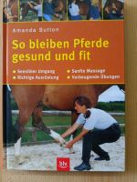 So bleiben Pferde gesund Schleswig-Holstein - Offenbüttel Vorschau