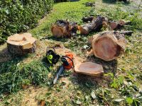 Baumfällung  - Baum entfernen / fällen + Baumstumpf Baden-Württemberg - Heidenheim an der Brenz Vorschau