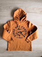 H&M Hoodie Sweatshirt Kapuzenpulli Dino T-Rex Gr. 134/140 Bayern - Kaufbeuren Vorschau