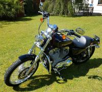 Harley Davidson Sportster XL 883C Niedersachsen - Faßberg Vorschau