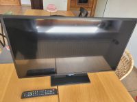 LED TV NEXUS 32 Zoll guter bis sehr guter Zustand!! Rheinland-Pfalz - Trippstadt Vorschau