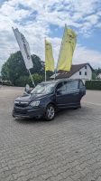 Schlachtfest Opel Antara Baden-Württemberg - Dietenheim Vorschau