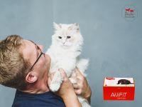 ANIfit Kitten Futter - ANIfit Katzenfutter mit ANIfit Rabattcode Bayern - Eggenfelden Vorschau