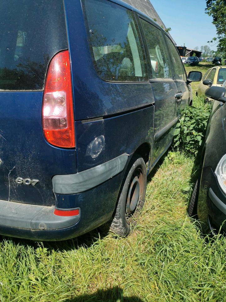 Peugeot 807 Teileträger, Zahnriemenriß in Kollmar