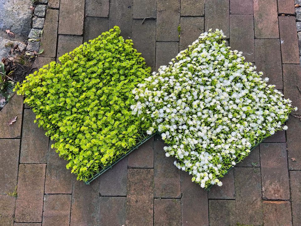 Pflanzenwand Moos Blätter Grün Weiß/ Gastro Wandmontage künstlich in Berlin
