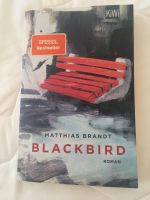 Buch Blackbird von Mathias Brand , spannend Niedersachsen - Sickte Vorschau