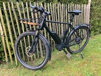 E-Bike Roadster GT Urban von Riese und Müller Schleswig-Holstein - Preetz Vorschau