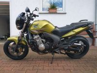 Honda CBF 600 NA PC43 A2 tauglich mit Combined-ABS Hessen - Schöneck Vorschau