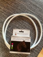 LED Leuchthalsring Halsring Waldhause *NEU* Baden-Württemberg - Freudenstadt Vorschau