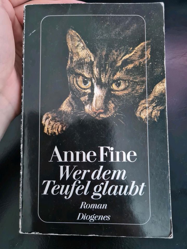 Anne Fine Wer dem Teufel glaubt Roman Taschenbuch in Nürnberg (Mittelfr)