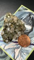 Bergkristall mit Epidot / Forest Quarz aus Mineralien Sammlung Bonn - Brüser Berg Vorschau