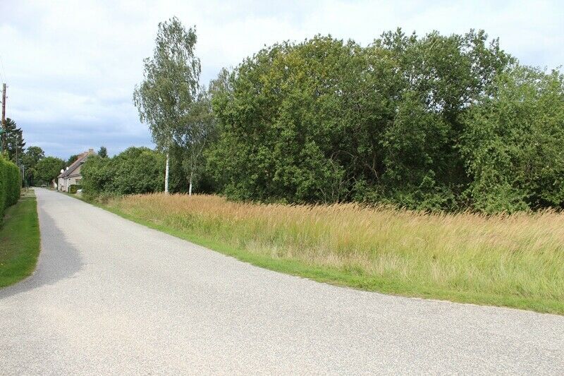 Baugrundstück zwischen Anklam und Stettiner Haff in Schwerinsburg