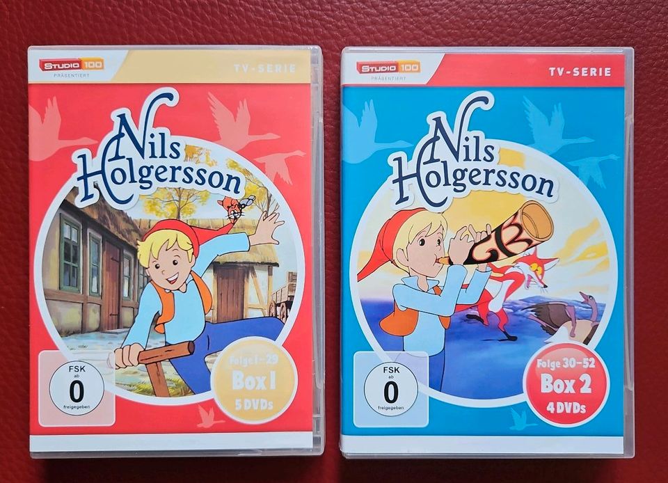 Nils Holgersson DVD in St. Wendel