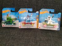 Hot Wheels Surfer Bayern - Nittenau Vorschau