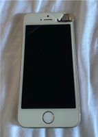 iPhone 5 Gold Nordrhein-Westfalen - Delbrück Vorschau