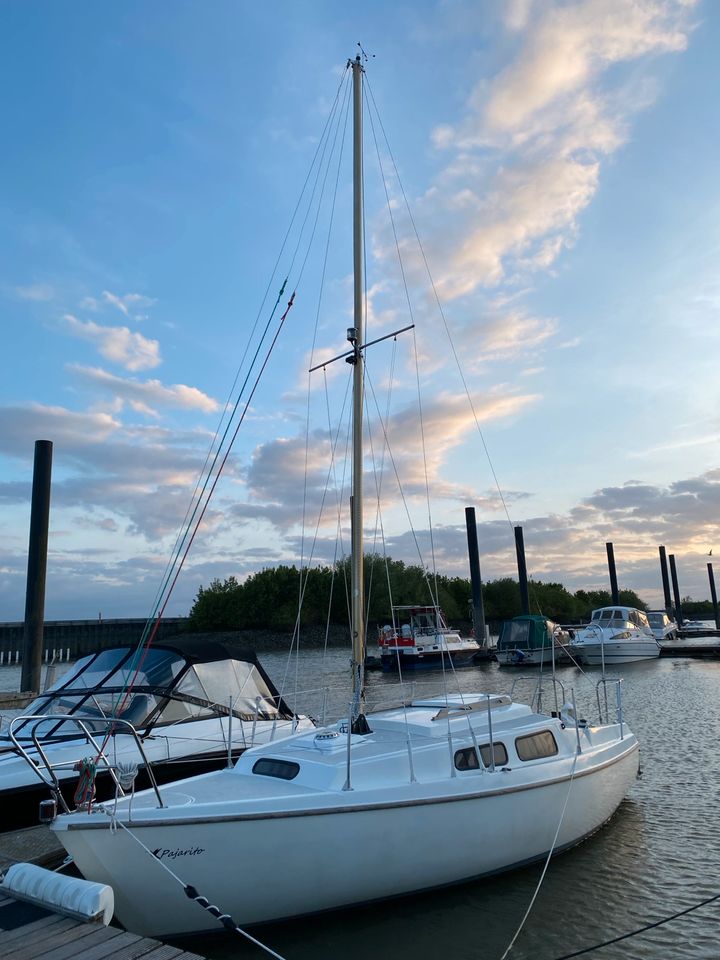 Neptun 22 Bj 74 Segelyacht Segelboot in Hamburg