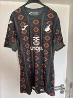 TSG 1899 Hoffenheim Sondertrikot Größe L Hessen - Darmstadt Vorschau
