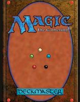 Wir kaufen deine Magic the Gathering Sammelkarten Schleswig-Holstein - Schleswig Vorschau