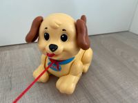 FisherPrice Nachziehtier Hund Nachziehhund Hessen - Braunfels Vorschau