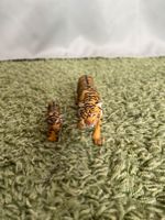 SCHLEICH Tierset Tiger Rostock - Südstadt Vorschau