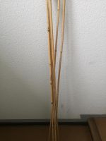 10 Bambusstützstäbe Berlin - Marzahn Vorschau