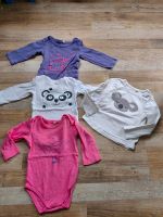 body Bodies Langarmshirt set Paket in Größe 80 Schleswig-Holstein - Lübeck Vorschau