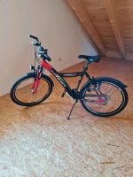 Jugendfahrrad 26 Zoll Bayern - Frontenhausen Vorschau