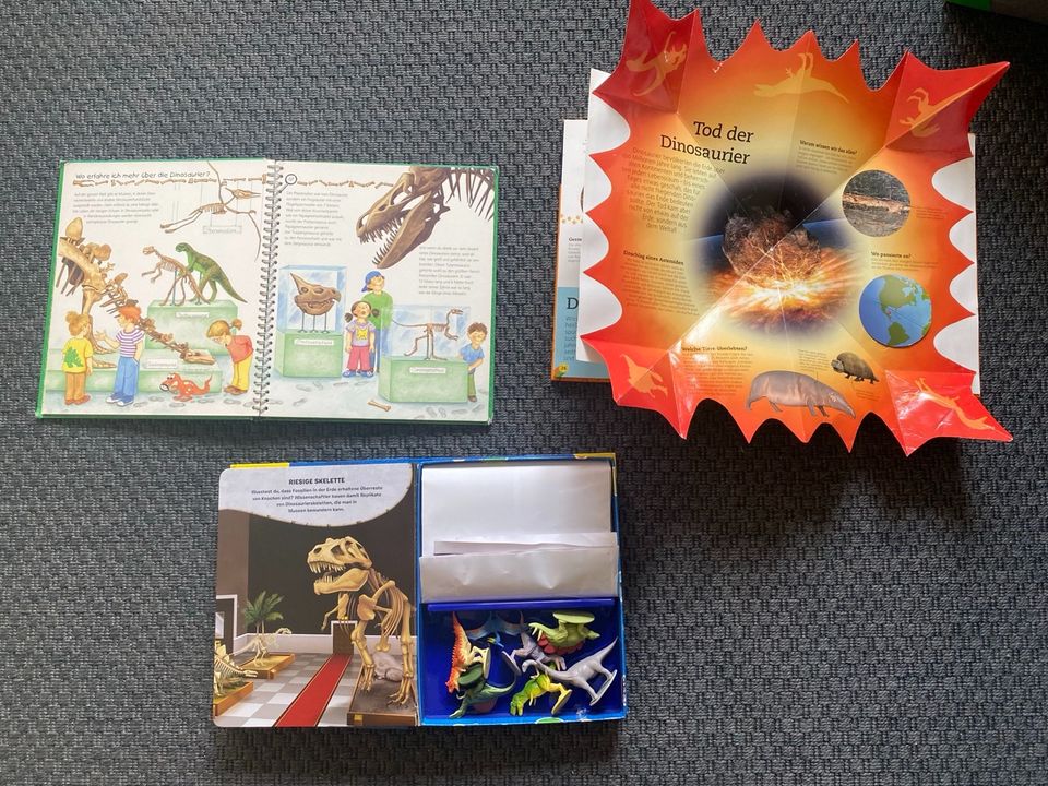Dinosaurier Paket Bücher klappbuch Figuren Set Kinder was istwas in Mechernich
