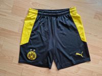 PUMA BORUSSIA DORTMUND Shorts BVB, Gr. S Schleswig-Holstein - Norderstedt Vorschau