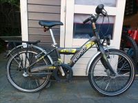 Pegasus Kinderfahrrad 20zoll Hamburg-Nord - Hamburg Langenhorn Vorschau