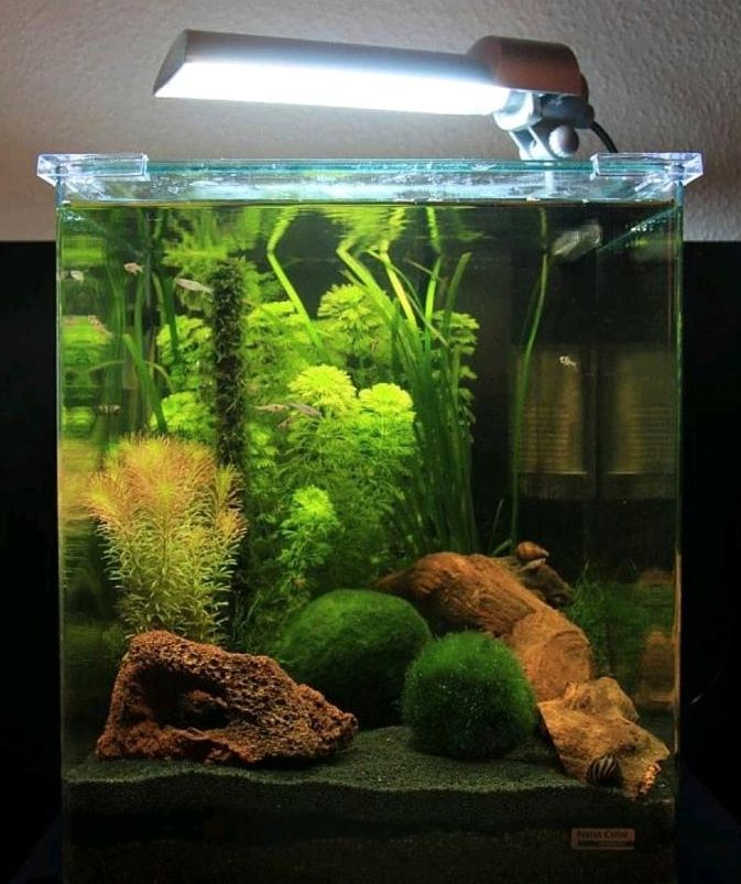 Aquarienbeleuchtung Dennerle Nano Light 11 Watt in München