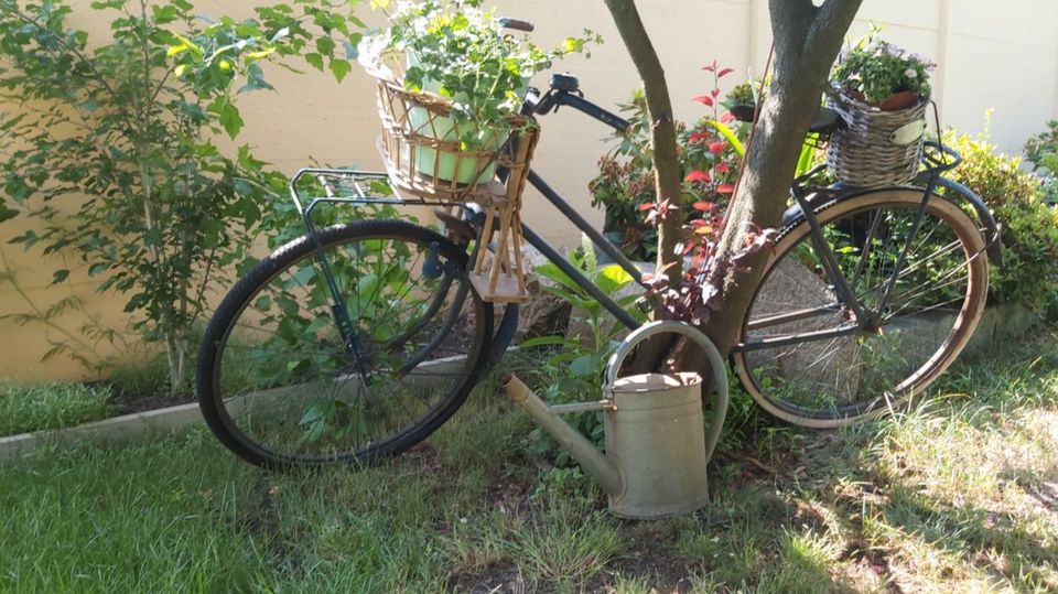 Alter Rattan-Kinderfahrradsitz aus der DDR - Deko in Brandenburg - Baruth /  Mark | eBay Kleinanzeigen ist jetzt Kleinanzeigen