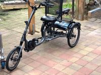 Pfautec Scoobo E Bike Therapierad Dreirad NEU Dithmarschen - Heide Vorschau