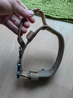 Hunde Halsband Thüringen - Drei Gleichen Vorschau