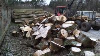 Brennholz, kaminholz Neißeaue - Kaltwasser Vorschau