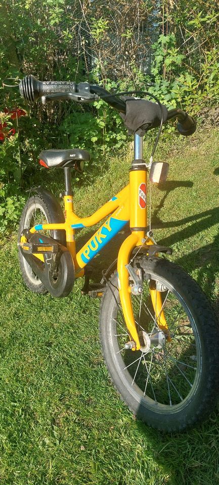 Kinder Fahrrad Puky ZLX 16 Alu in Fahrdorf