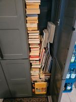 Bücher, Sachbücher, Romane, Zeitschriften, spirituell,  Esoterik Hessen - Lauterbach (Hessen) Vorschau