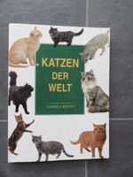 Katzen der Welt, Angela Rixon, 256 Seiten Bayern - Fürstenfeldbruck Vorschau