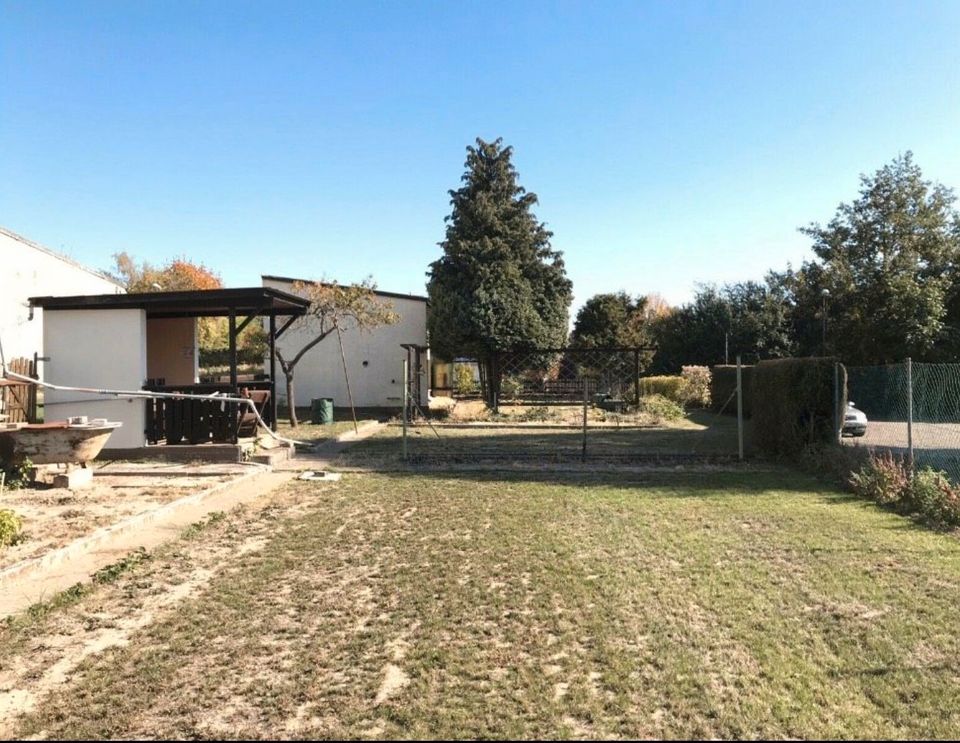 Garten, Gartengrundstück zu verpachten/mieten, Freizeitgrundstück in Alzey