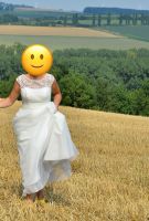 Brautkleid Hochzeitskleid Cecile Kerpen 38/40 Nordrhein-Westfalen - Baesweiler Vorschau