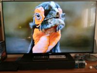 Sony TV 55 Zoll Echte 100Hz Niedersachsen - Bad Münder am Deister Vorschau