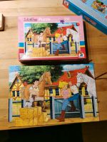 Bibi und Tina Puzzle 100 Teile Niedersachsen - Wedemark Vorschau