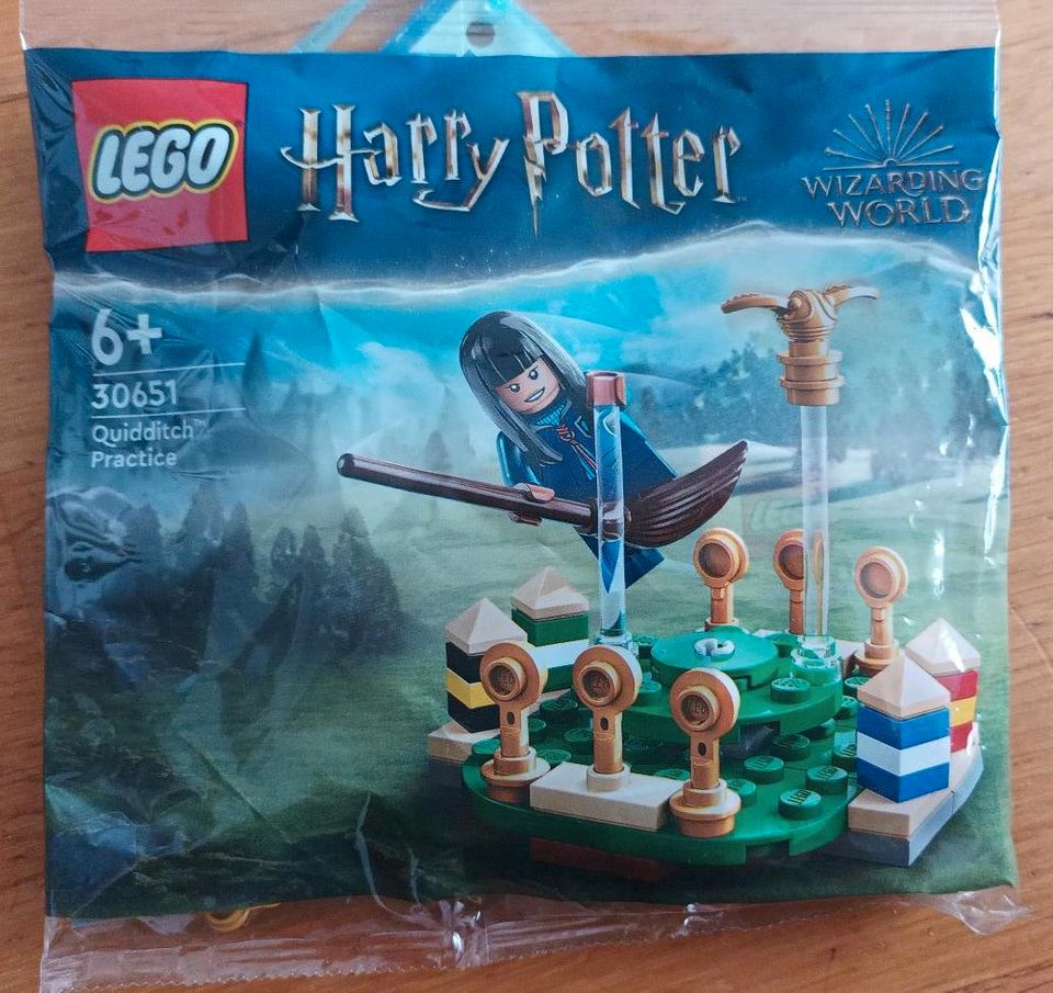 Lego 30651 Harry Potter in Hurlach